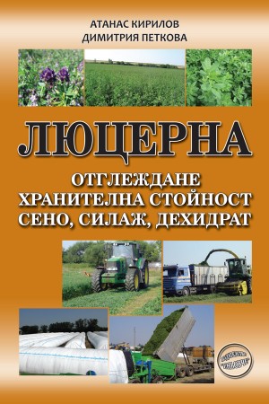 Люцерна