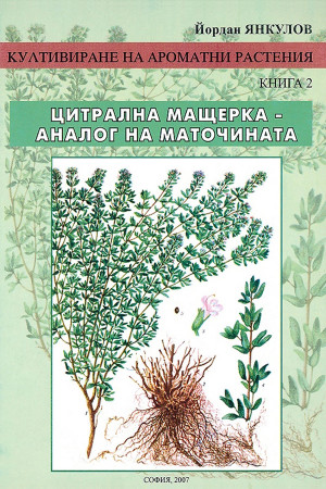 Култивиране на ароматни растения - книга 2: Цитрална мащерка - аналог на маточината