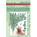 Култивиране на ароматни растения - книга 2: Цитрална мащерка - аналог на маточината