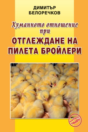 Хуманното отношение при отглеждане на пилета бройлери 