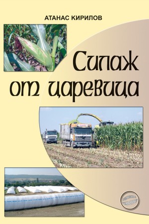 Силаж от царевица 