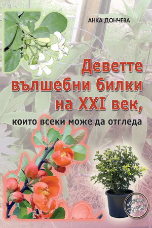 Деветте вълшебни билки на XXI век, които всеки може да отгледа 