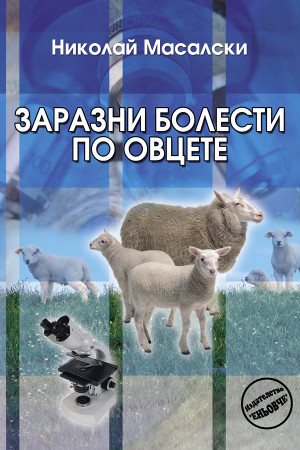 Заразни болести по овцете 